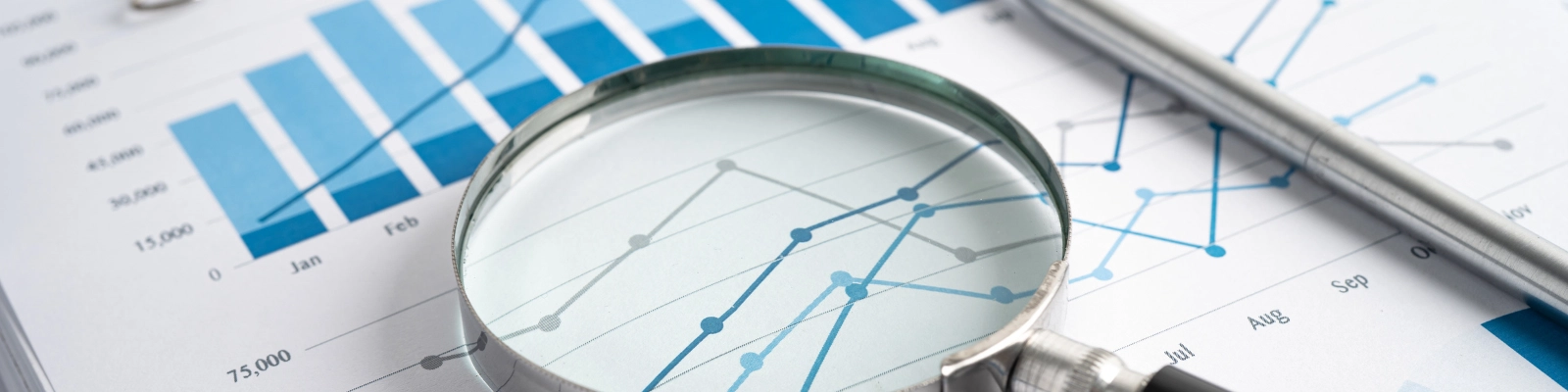 Financial Statement Reporting Services